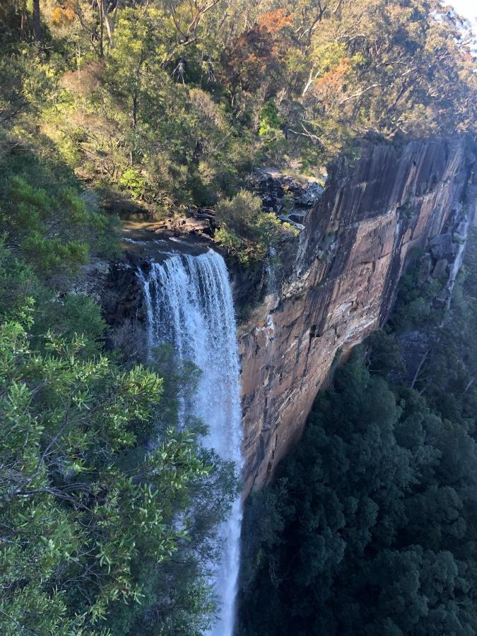 Twin Falls Bush Cottages Fitzroy Falls Exterior foto