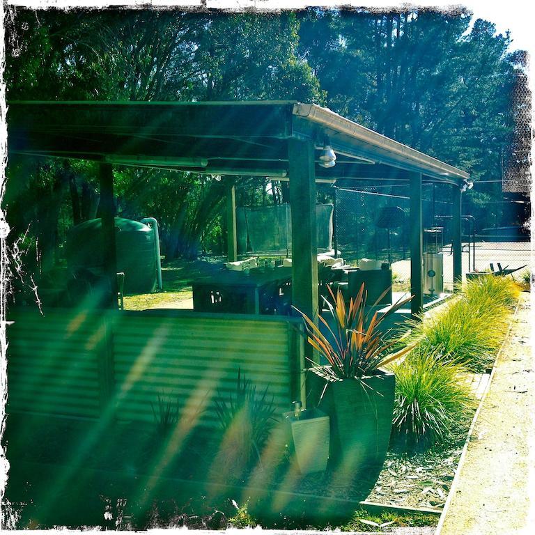 Twin Falls Bush Cottages Fitzroy Falls Quarto foto