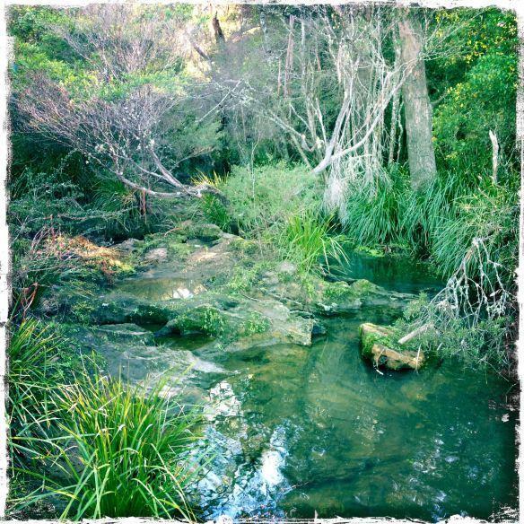 Twin Falls Bush Cottages Fitzroy Falls Quarto foto
