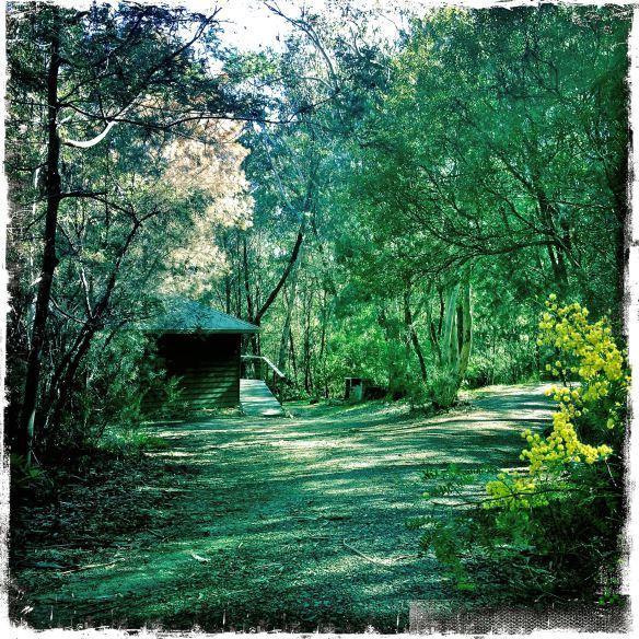 Twin Falls Bush Cottages Fitzroy Falls Quarto foto