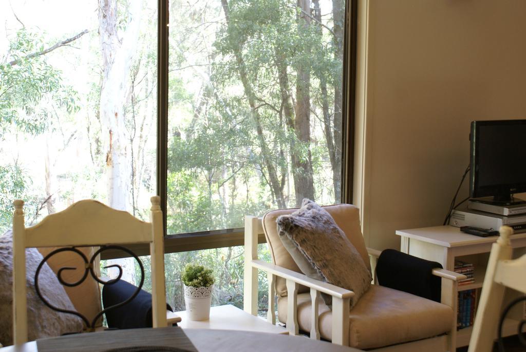 Twin Falls Bush Cottages Fitzroy Falls Exterior foto